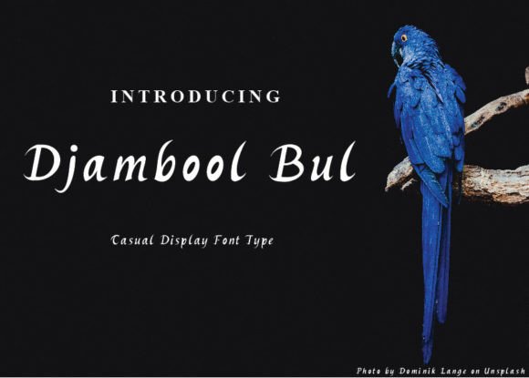 Djambool Bul: Strategic Typography for Relaxed Elegance in Brand Identity